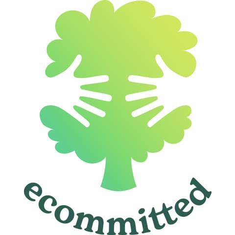 Nastro adesivo Viva ECO in carta Kraft FSC - 50 mm x 50 m - avana - 2031